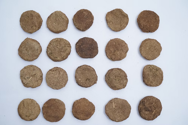 Cow Dung Cakes