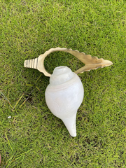 Shankh Stand (Conchshell Stand)